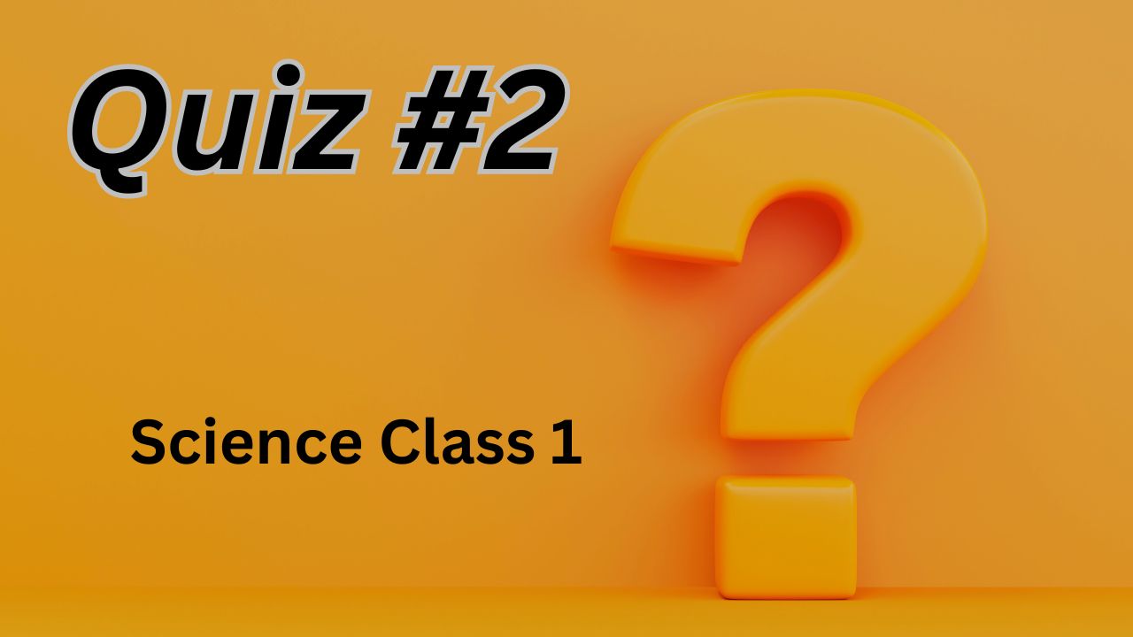 science class 1 quiz 2