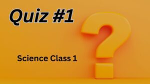 sciemce class 1 quiz 1
