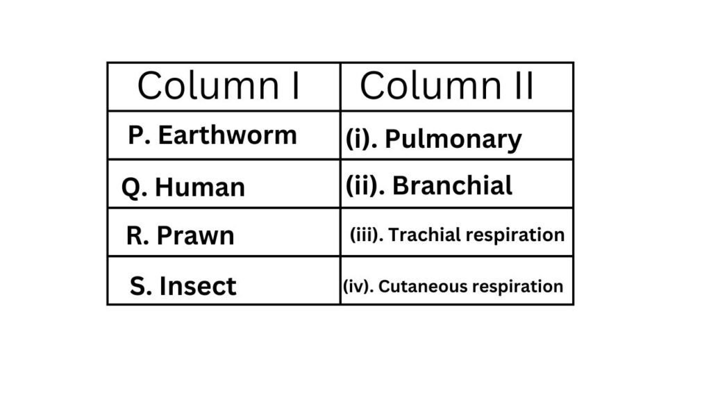 column I