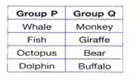group P and Q