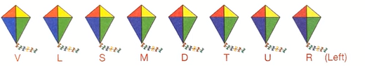 kite