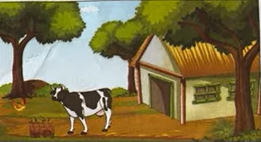 cow