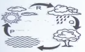 condensation