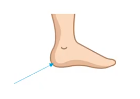 body part